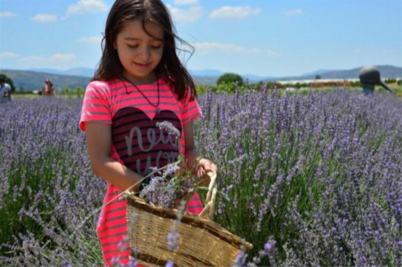 BAÇEM’de aromaterapinin şifalı dünyasına yolculuk