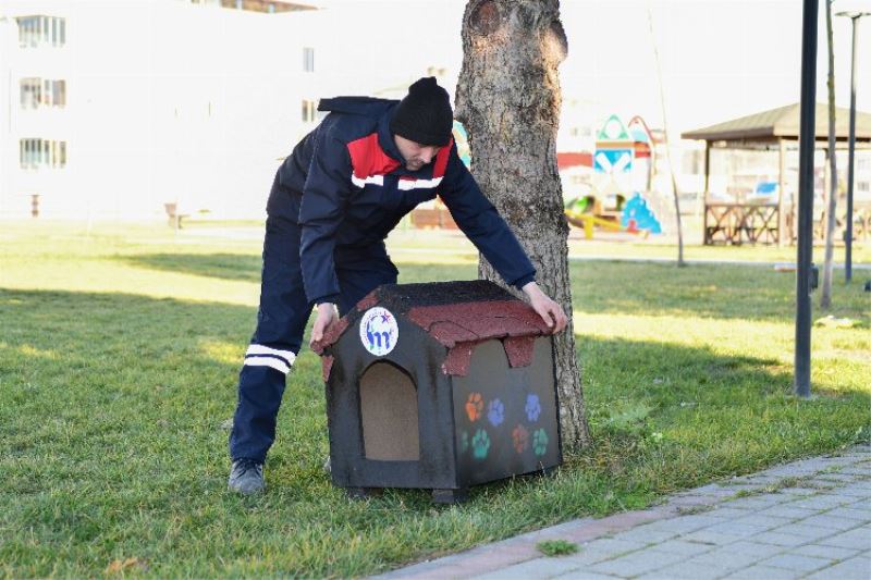 Kedilerin sıcak evi Bursa Mustafakemalpaşa