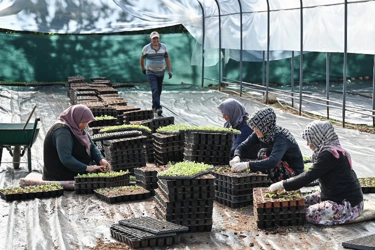 Kelesli çiftçiler üretiyor, Bursa kazanıyor