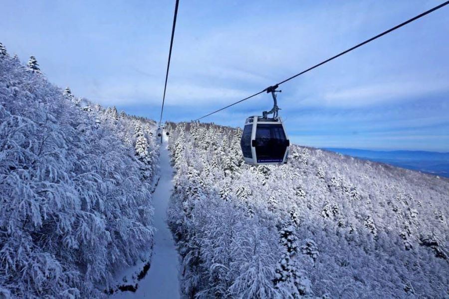Teleferiğe 3 haftalık bakım molası  
