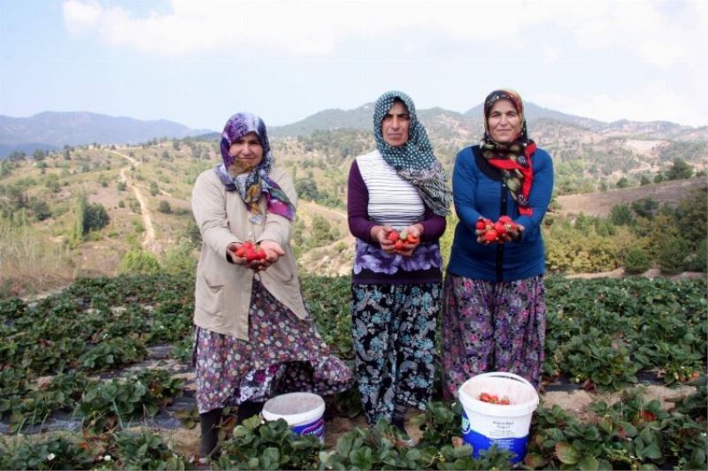 Başkan Aykurt duyurdu: Kırsalda üretim yapana müjde!