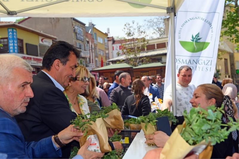 Bursa Osmangazi’den tarıma 