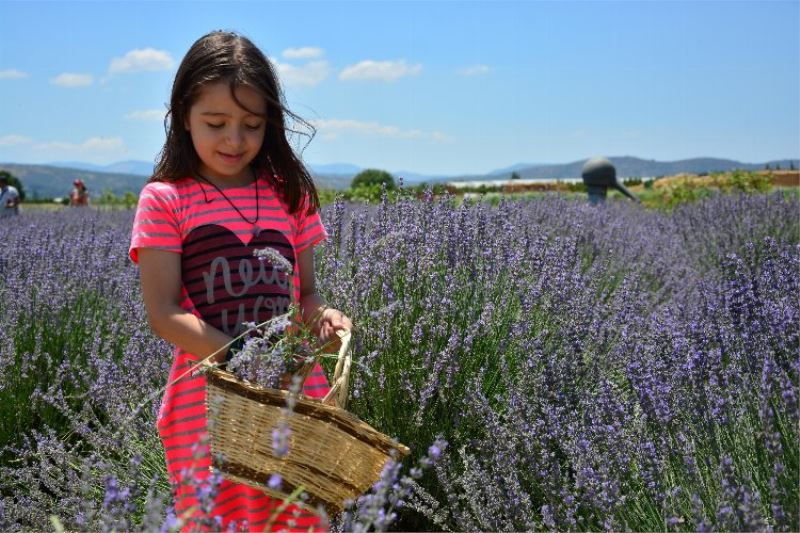 Aromaterapide şifa yolculuğu başlıyor