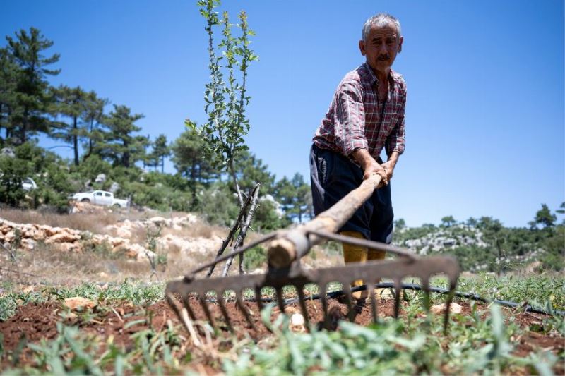 Büyükşehir desteğiyle çiftçinin yüzü gülüyor