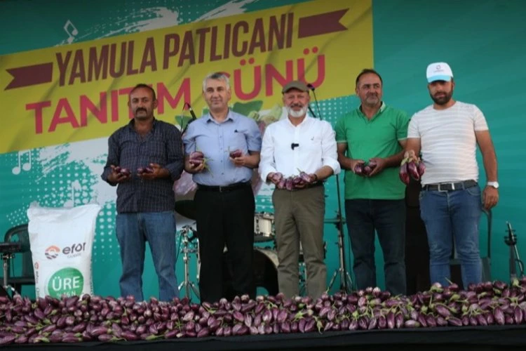 Yamula Patlıcanı Festivali 10 binleri ağırladı