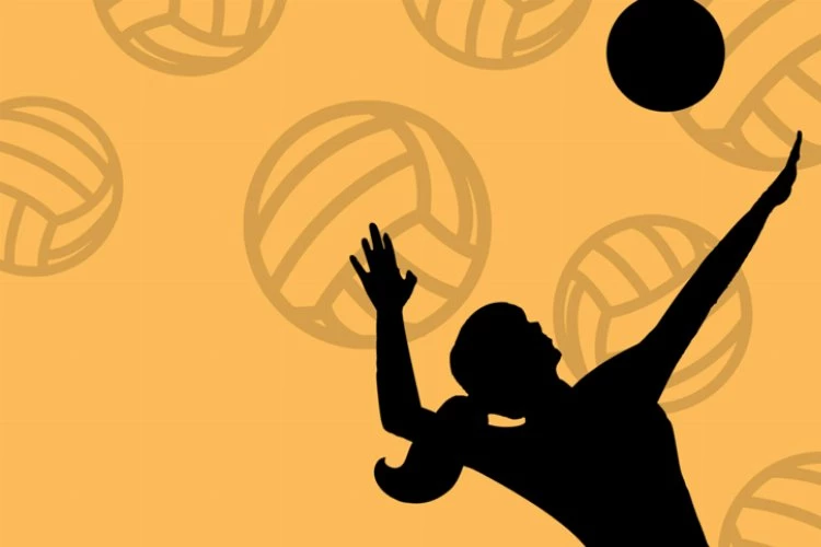 Şampiyonluk voleybol taleplerini arttırdı!