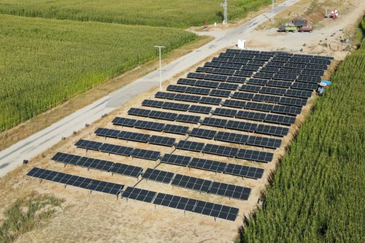 CW Enerji solar sulama sistemleri ile enerji maliyetlerini azaltıyor