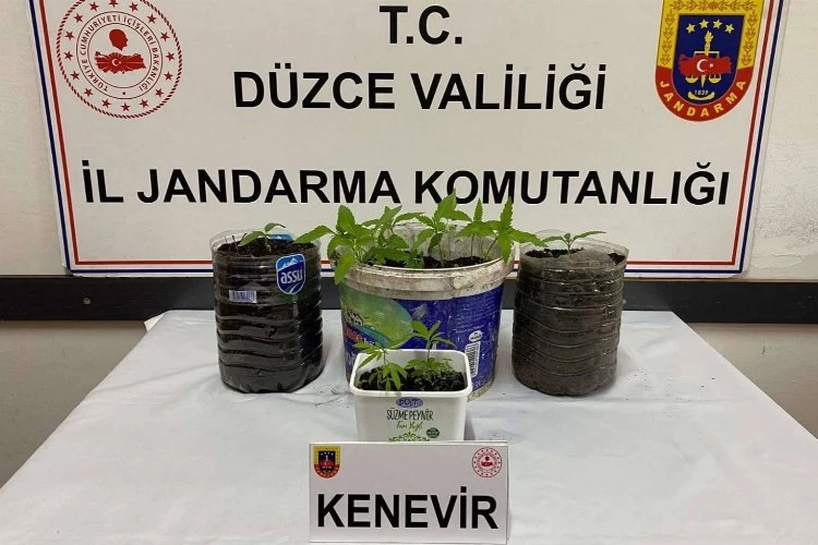 Düzce Jandarması