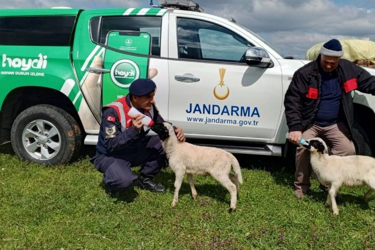 Edirne Jandarması