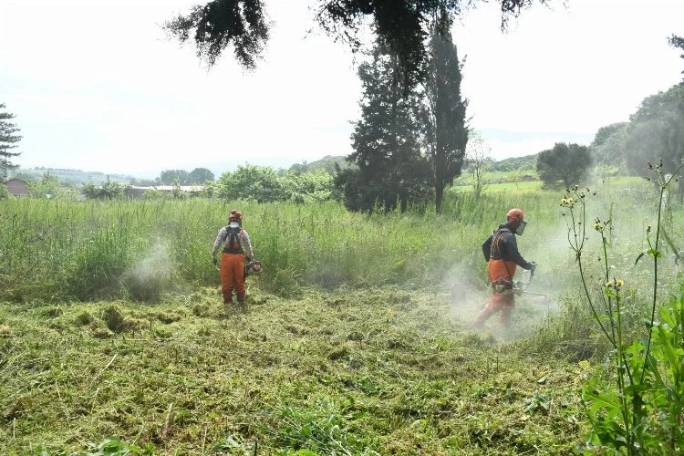 Bakımsız mezarlıklar için talimat