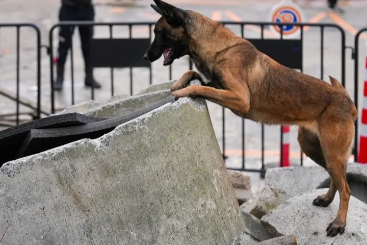 İstanbul Maltepe’nin Zeyna’sı artık ekibin bir parçası