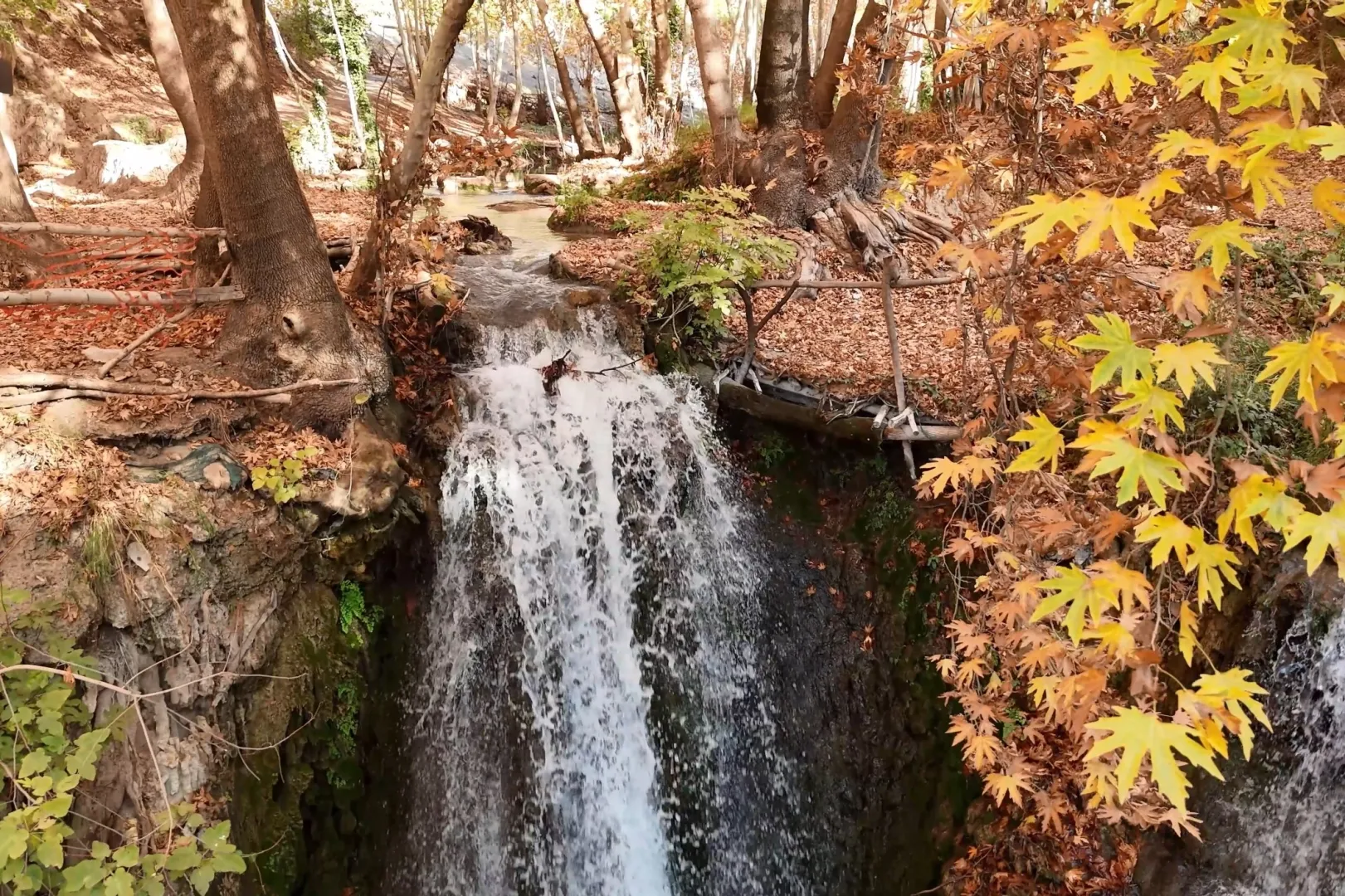 Mardin’in gizli cenneti renk cümbüşüne döndü