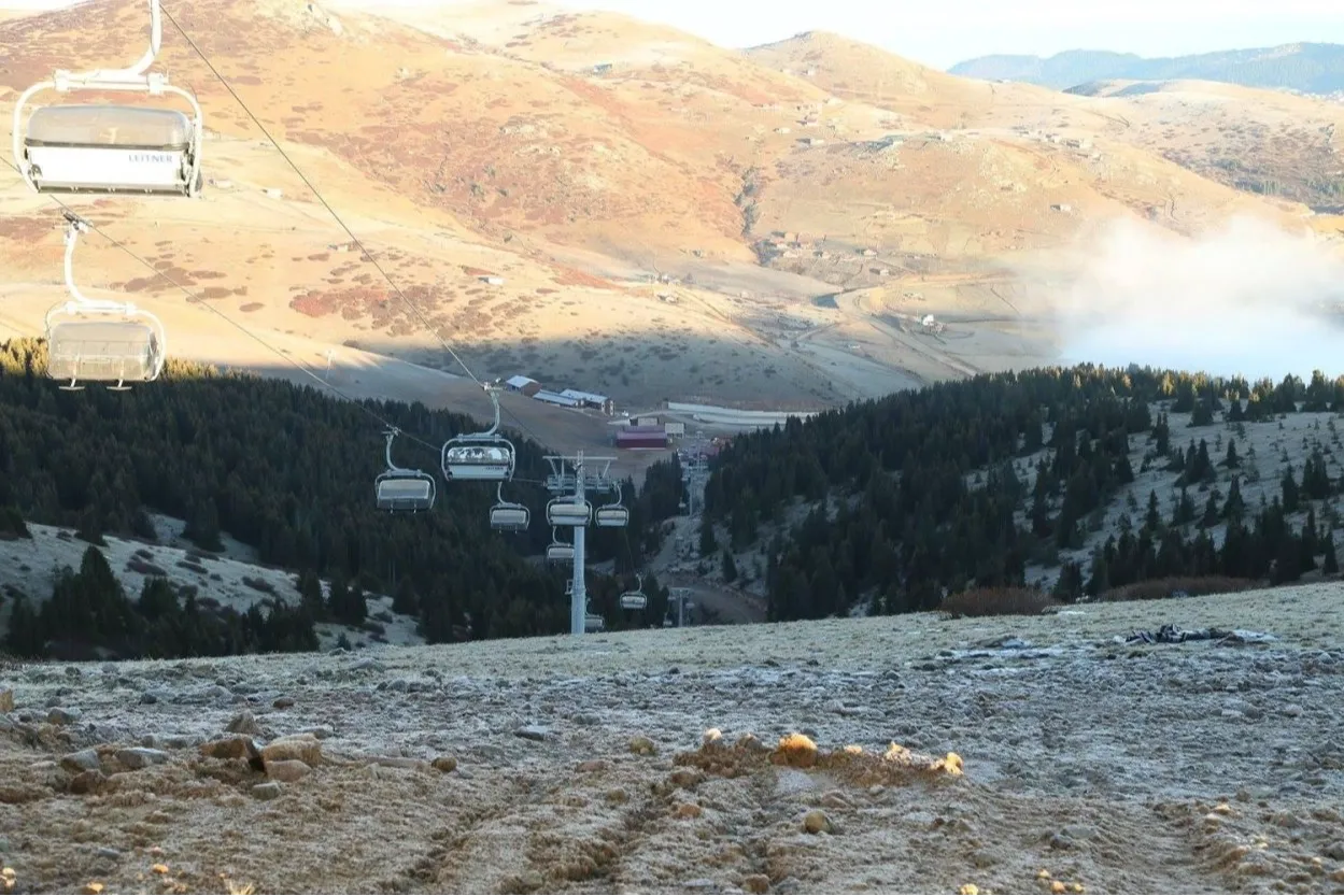 Ordu