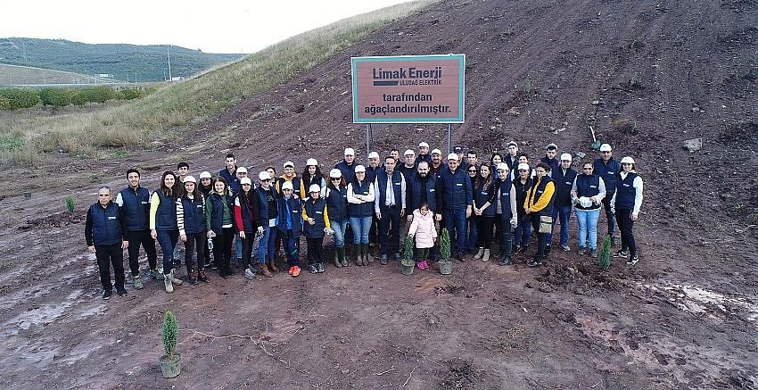 Limak