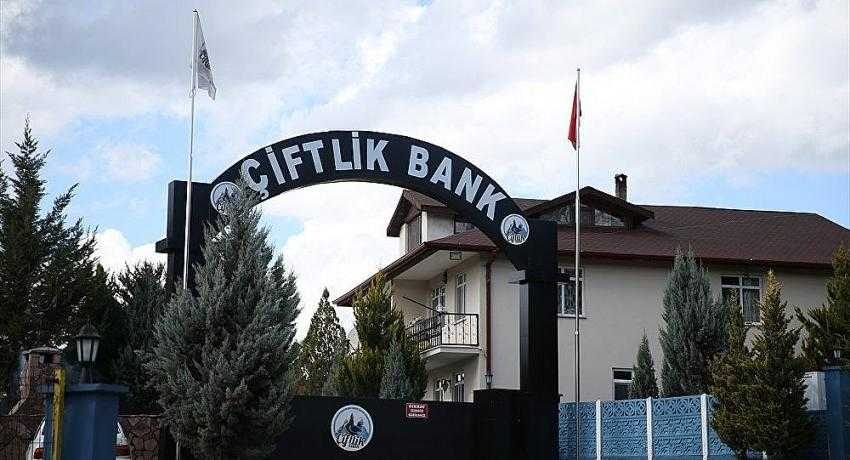 Çiftlik Bank davasında 9 tahliye kararı