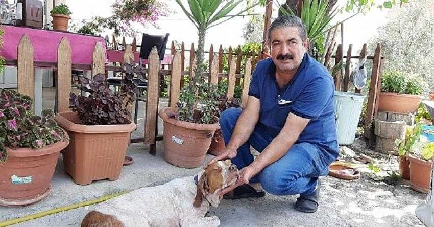 10 bin lira kredi çekip yaralı köpeği tedavi ettirdi