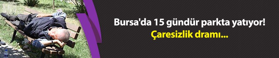 Bursa