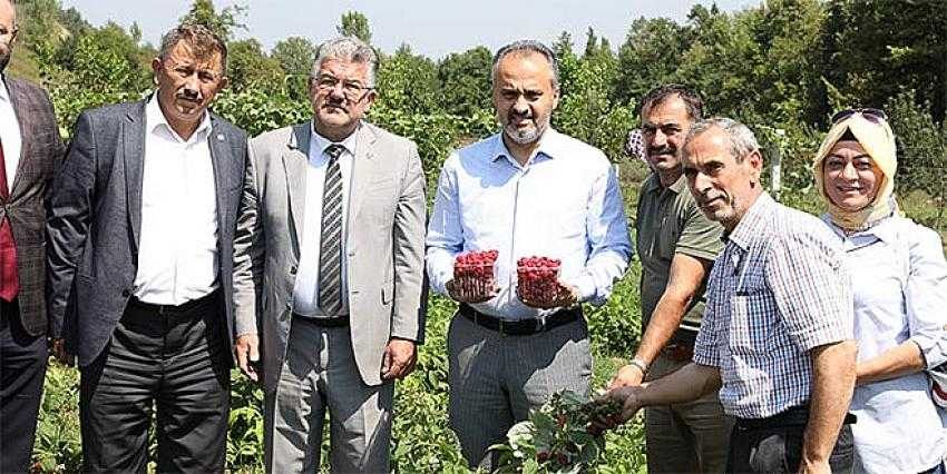 İthalatın önüne geçme hedefi