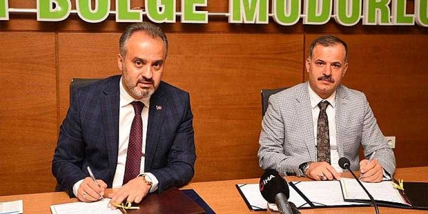 Bursa menşeili ağaçlar küllerinden doğacak 