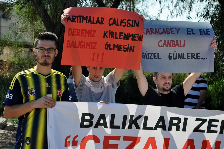Bursa