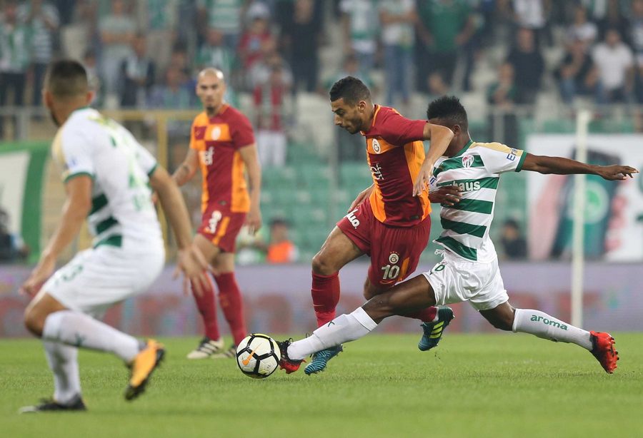 Timsah, Aslan
