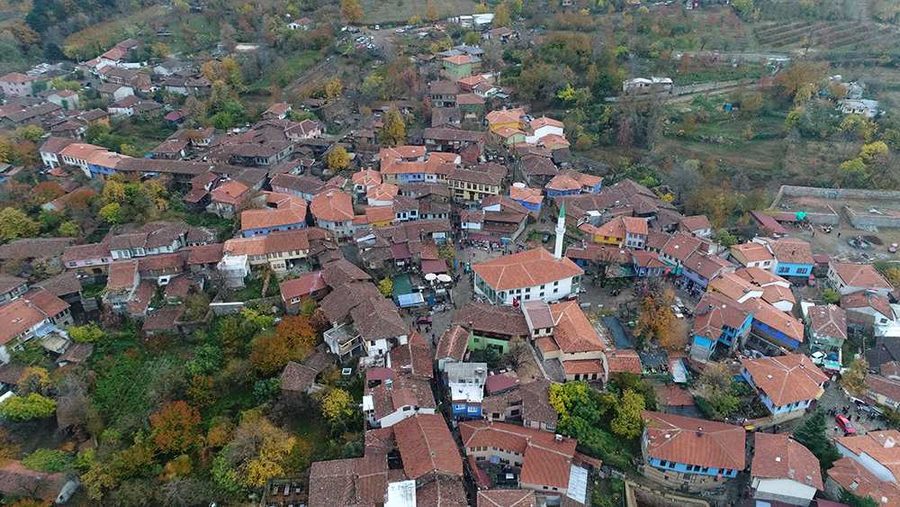 Bursa