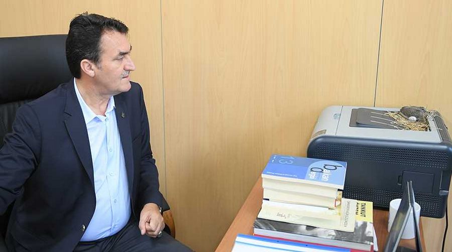 Makam odasını mesken tutan kumruların yavrusu oldu