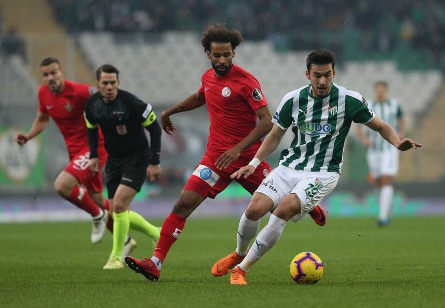 Timsah evinde kayıp!