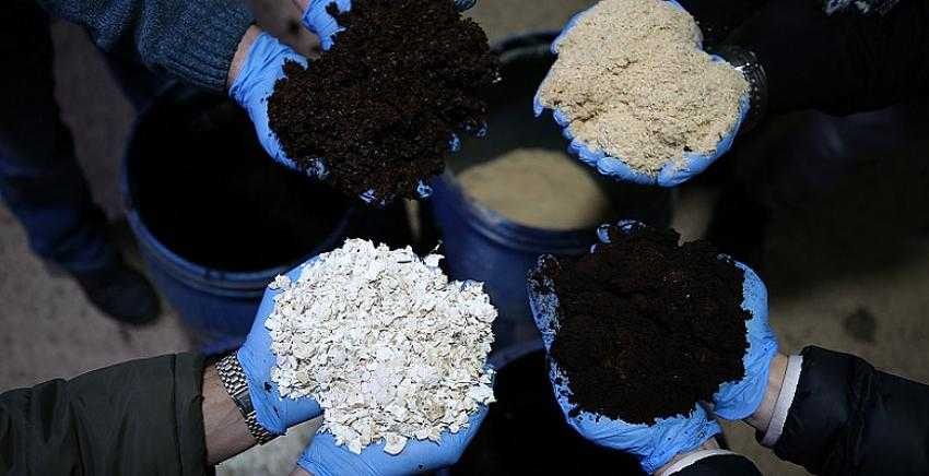 Yumurta kabuğu, çay posası ve kahve telvesinden gübreye