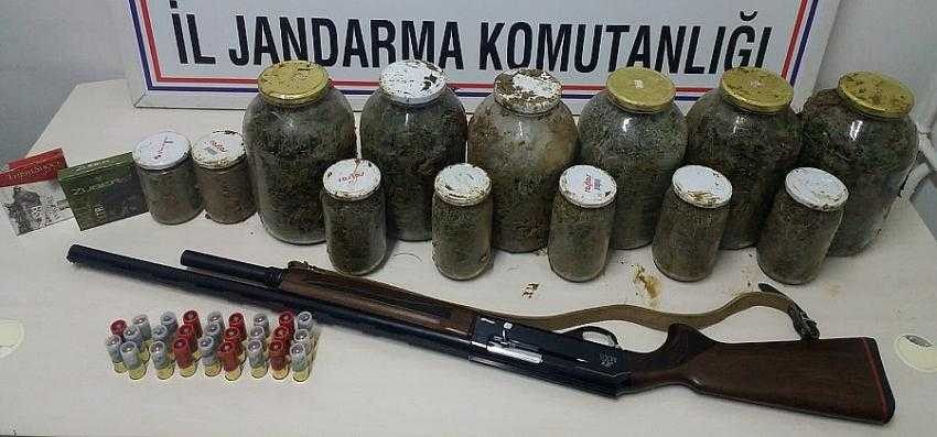 Bursa
