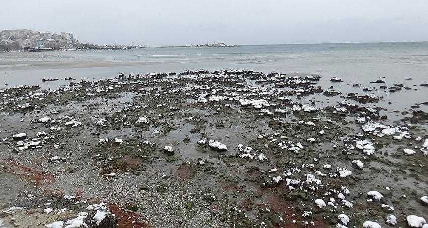 Şaşırtan görüntü: Deniz 150 metre çekildi...