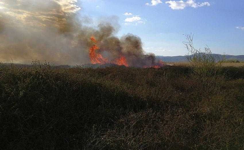 İznik Gölü yakınındaki sazlık alanda yangın çıktı