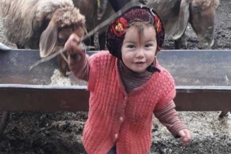TDPli Ceylan, Müslüme ile ilgili açıklama yaptı 