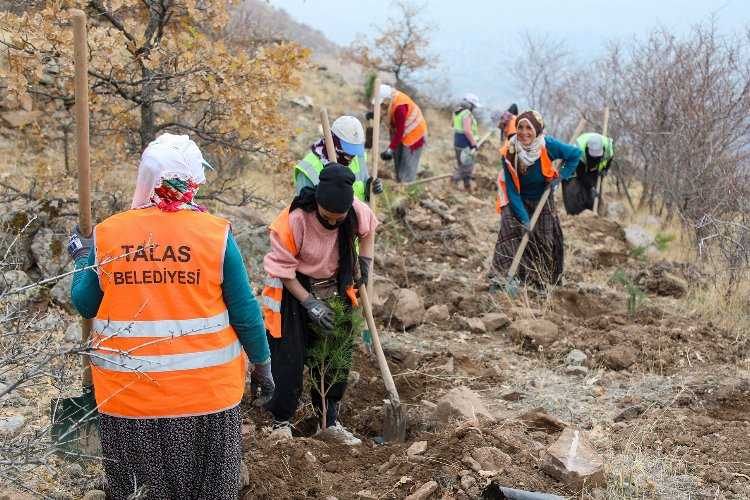 Kayseri Talastan ağaç seferberliği