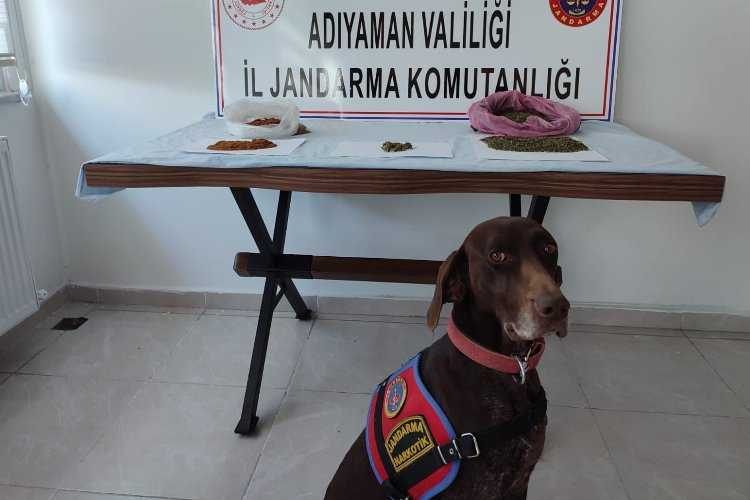 Adıyamanda uyuşturucu tacirlerine suçüstü