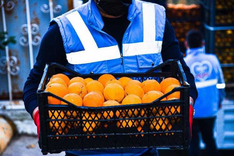 Muğla Milasta üreticiye portakal ve limon desteği 