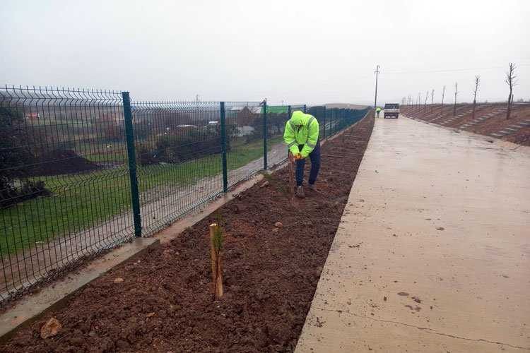 Kocaelide Demircilerde mezarlık ağaçlandırıldı