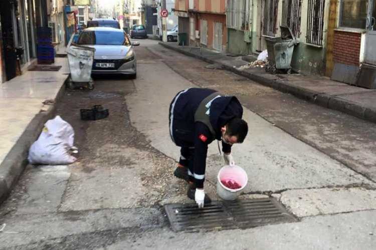 Bursa Osmangazide haşerelere karşı ilaçlama