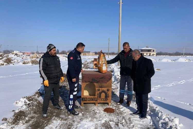 Niğde Kemerhisar Belediyesi sokaktaki dostlarını unutmadı 