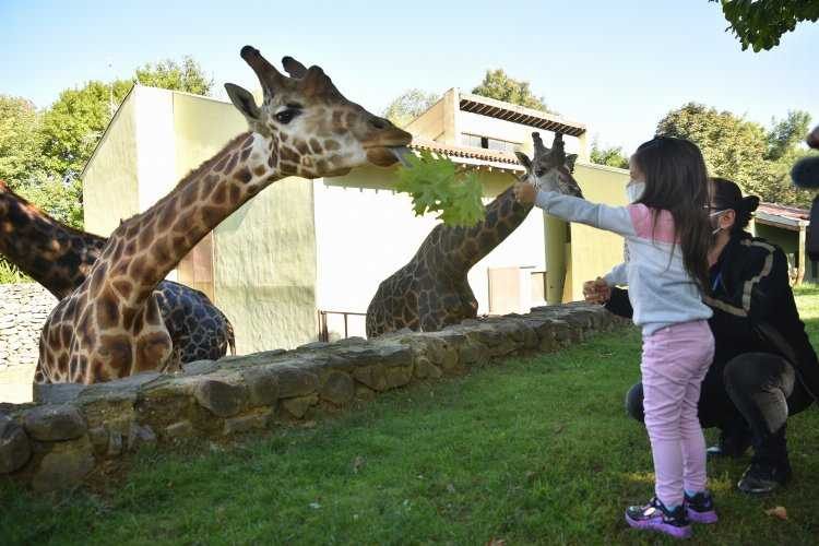 Bursa Hayvanat Bahçesinde halk günü 