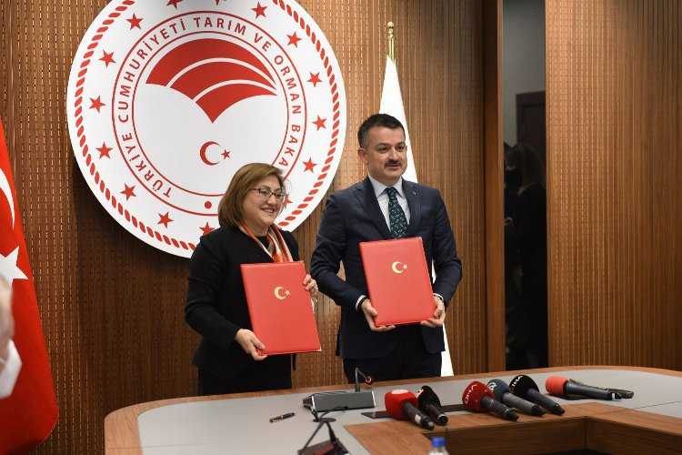Gaziantepte aşı desteğini uzmanlar olumlu karşıladı