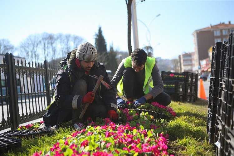 Sakaryanın sokakları rengârenk bir çiçek bahçesine dönüşüyor
