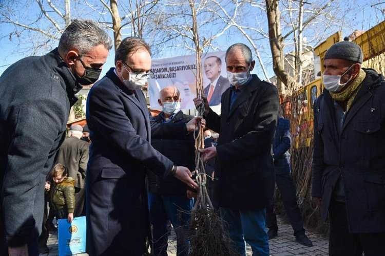 Bilecik’te bin cennet hurması fidanı toprakla buluşacak
