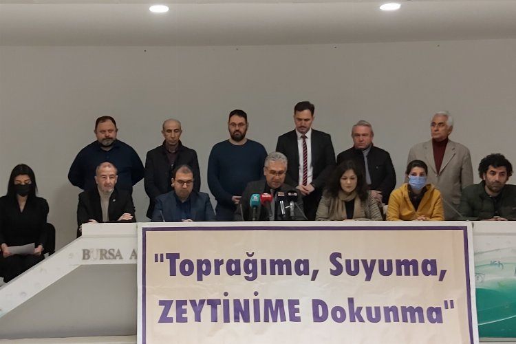 Bursadan zeytinlik alanların talanına akademik tepki