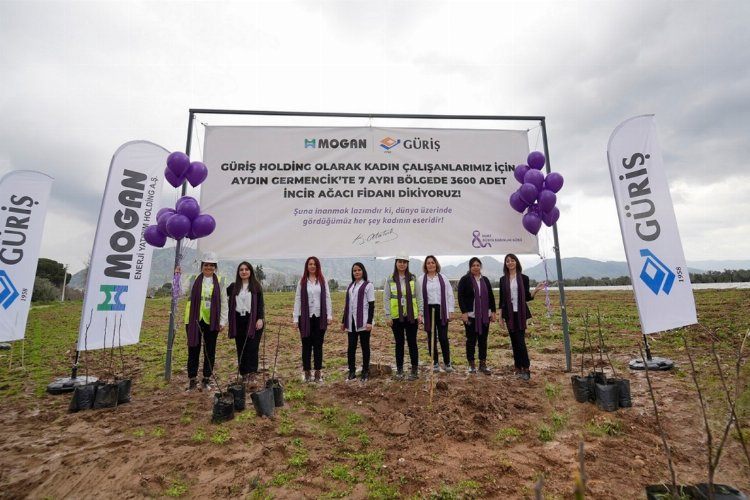 Aydında Güriş Holdingten 3 bin 600 incir fidanı