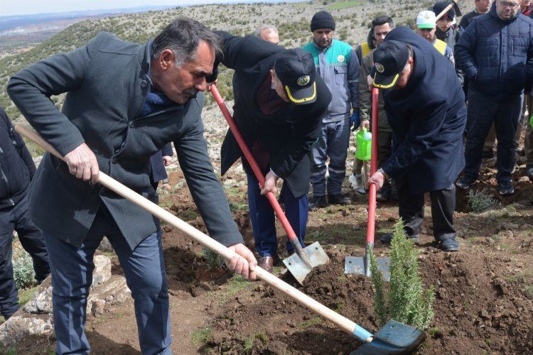 Kiliste Bal Ormanına 2022 yılında 15 bin  adet ballı bitki dikilecek
