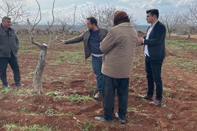 Kiliste Antepfıstığı üreticileri bilgilendirildi 