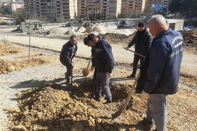 Kiliste yeni açılan cadde ve bulvarlara ağaç dikimi yapıldı