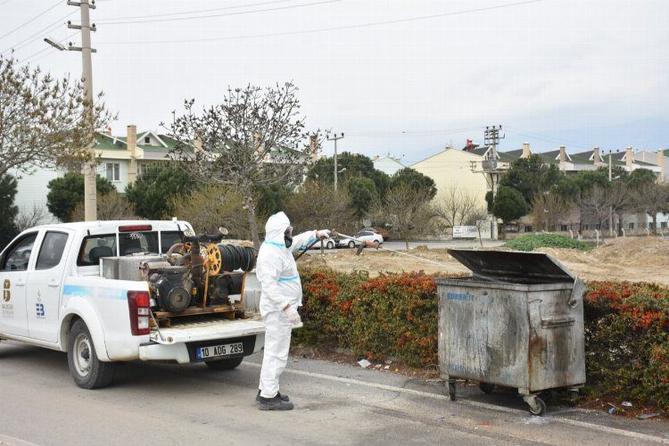 Balıkesir Edremitte sinekle mücadeleye hız verildi  
