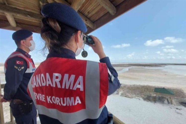 Tuz Gölünde Flamingo ölümlerine Jandarma önlemi